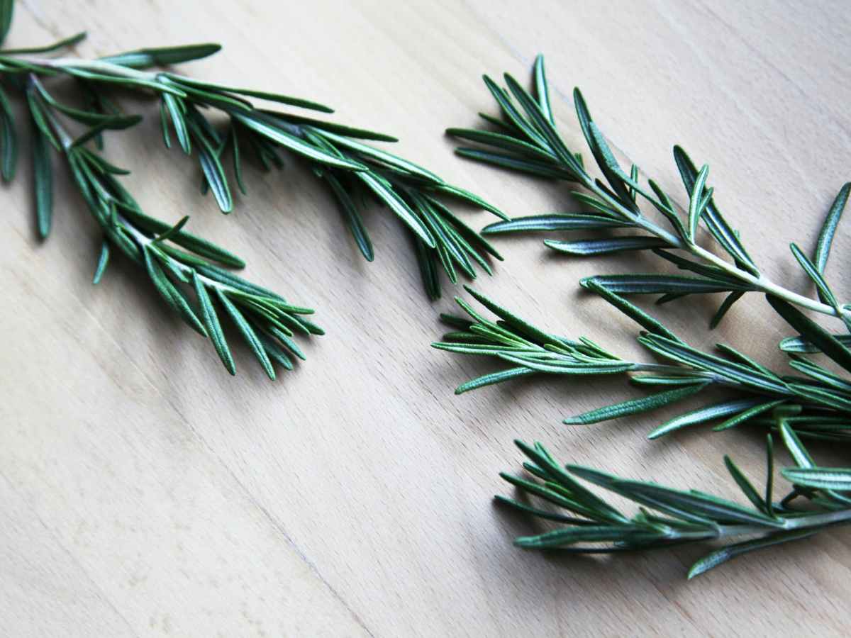 What’s in a&nbsp;name?